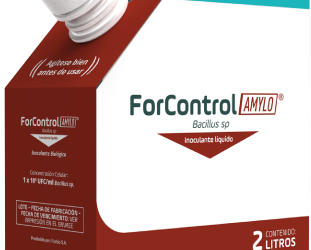 ForControl Amylo