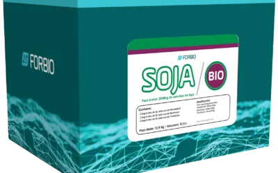 Pack Soja Bio